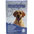 advantage - flea & tick